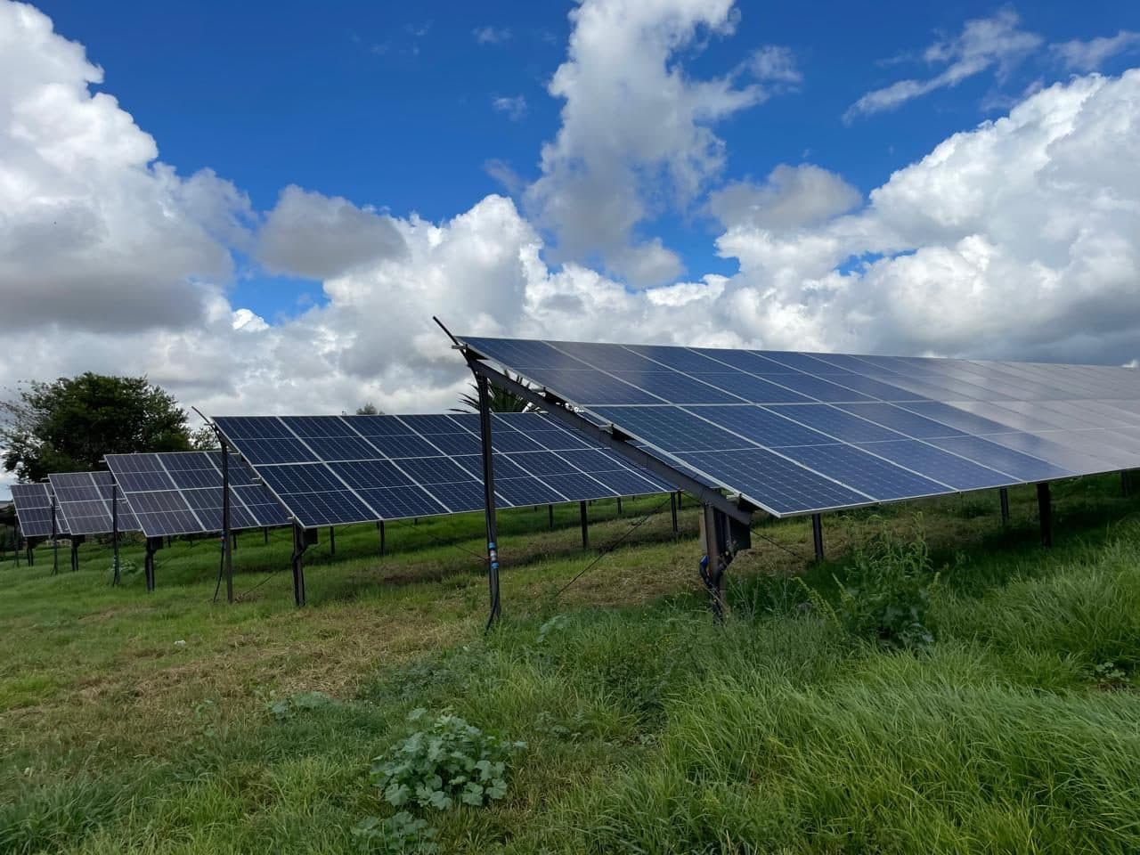 Hennopper Dairy Farm solar installation
